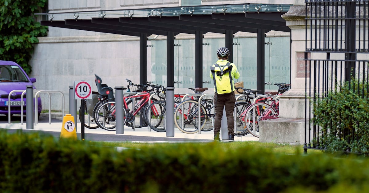 Justine McCarthy: If you laughed at the one about the Leinster House bike shelter, you’ll love the one about the loo rolls