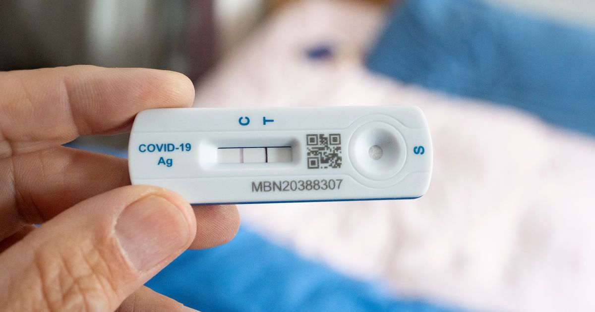 New Covid variant XEC spreading rapidly and 'just getting started'