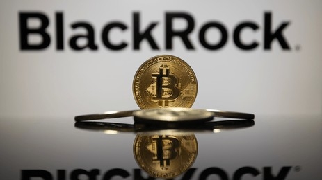 Exploring BlackRock’s Crypto Strategy: Insights From Head Of Digital Assets