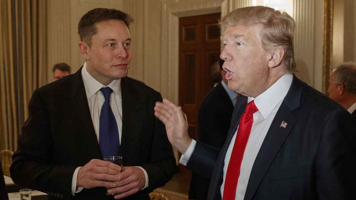 Elon Musk's loyal staff reveal who they are really backing after the billionaire threw his support behind Trump