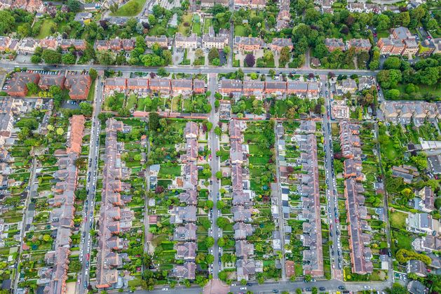 Paul McNeive: Rent caps have reduced the supply of housing and led to rising rents