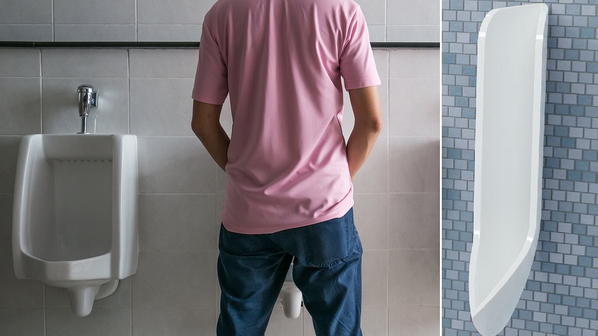 You're peeing wrong! Shock video shows exactly where men should 'aim' to avoid stomach-churning risk of splashback