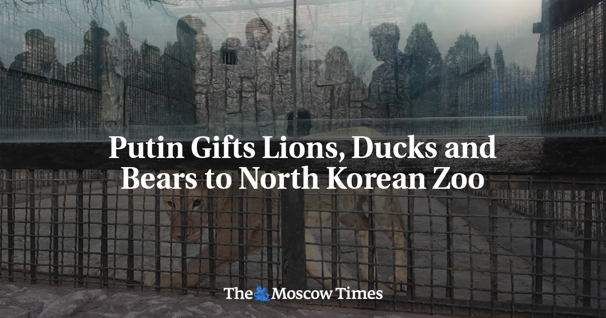 Putin Gifts Lions, Ducks and Bears to North Korean Zoo