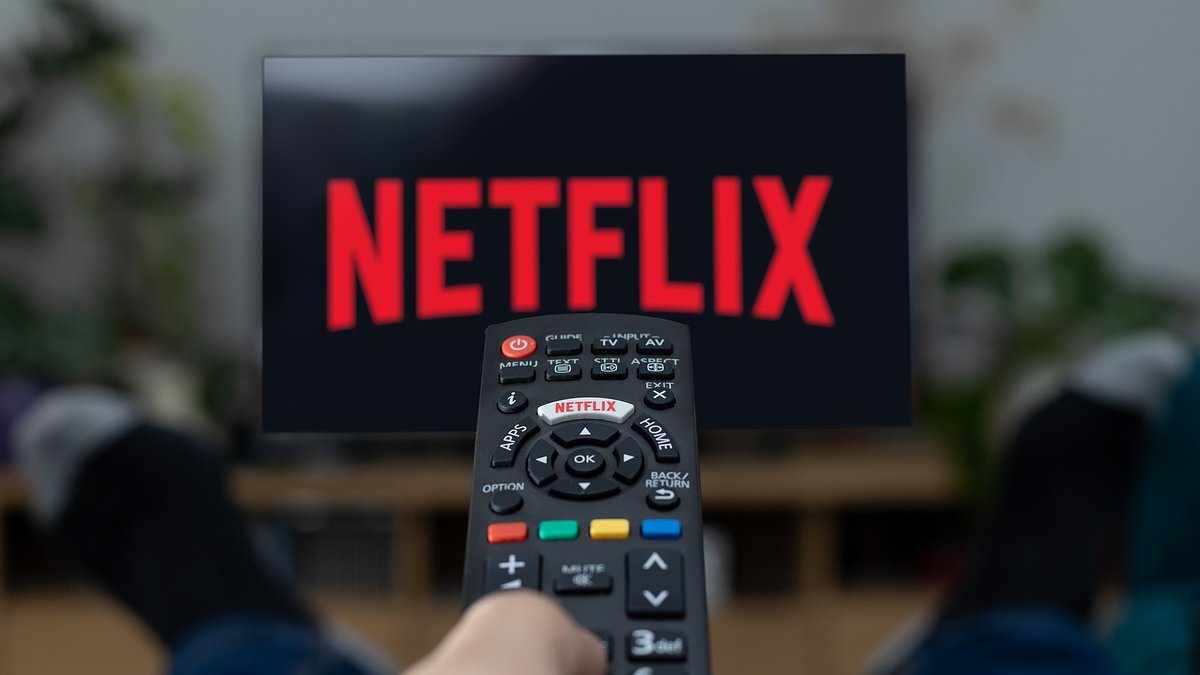 My boyfriend and I canceled our Netflix subscription but it sparked a bizarre family feud