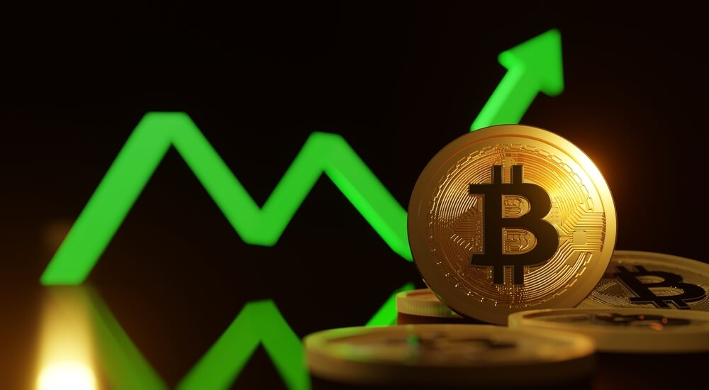 Vantard meme index fund explodes as Bitcoin breaks $94k