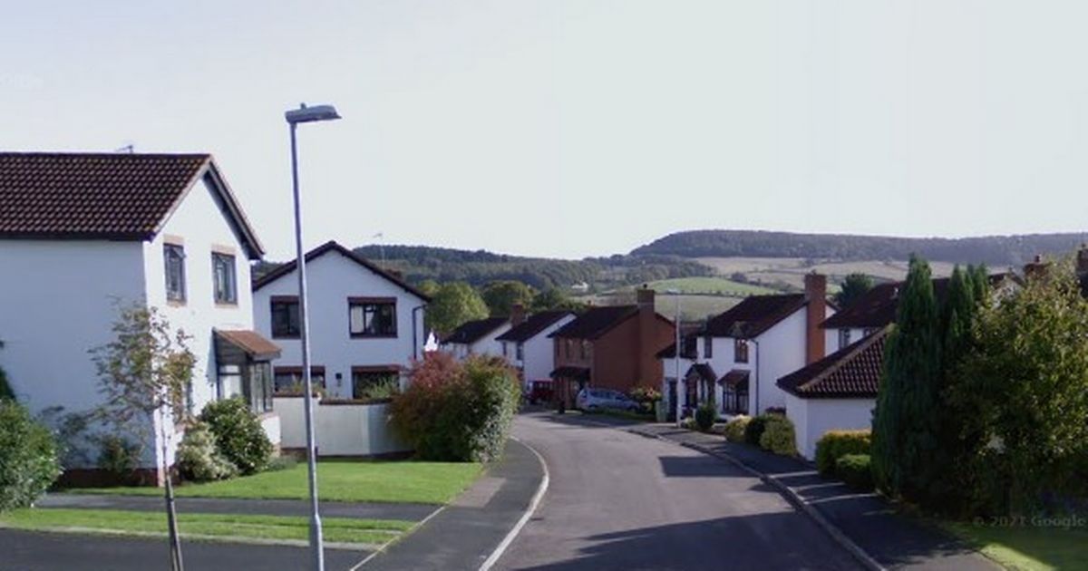 Murder investigation after woman found dead at Devon home