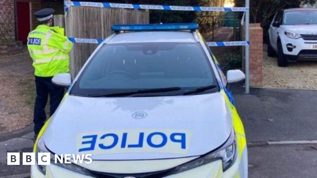 Man charged with Netley stab murder to face no action