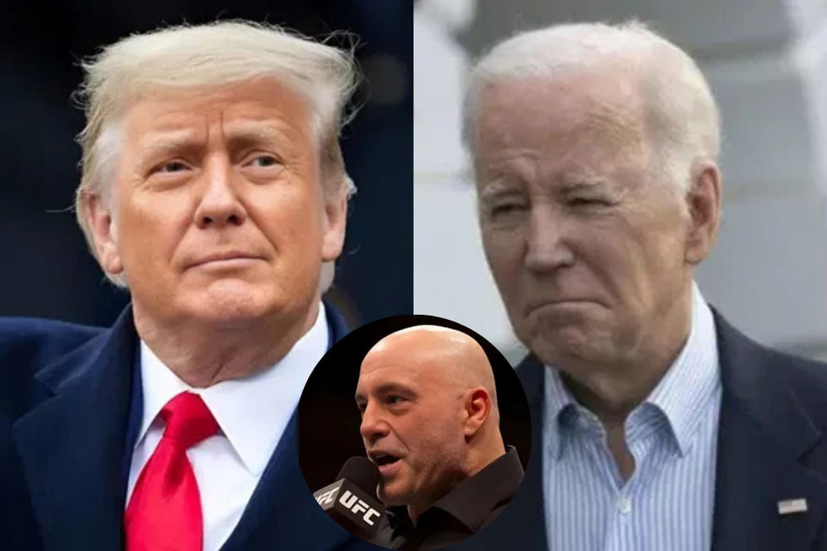 Joe Rogan Makes Wild Predictions on a Fantasy Fight Between Donald Trump & Joe Biden