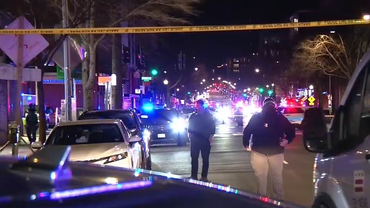 Washington DC carjacker is shot dead by police after astonishing act in full view of officers