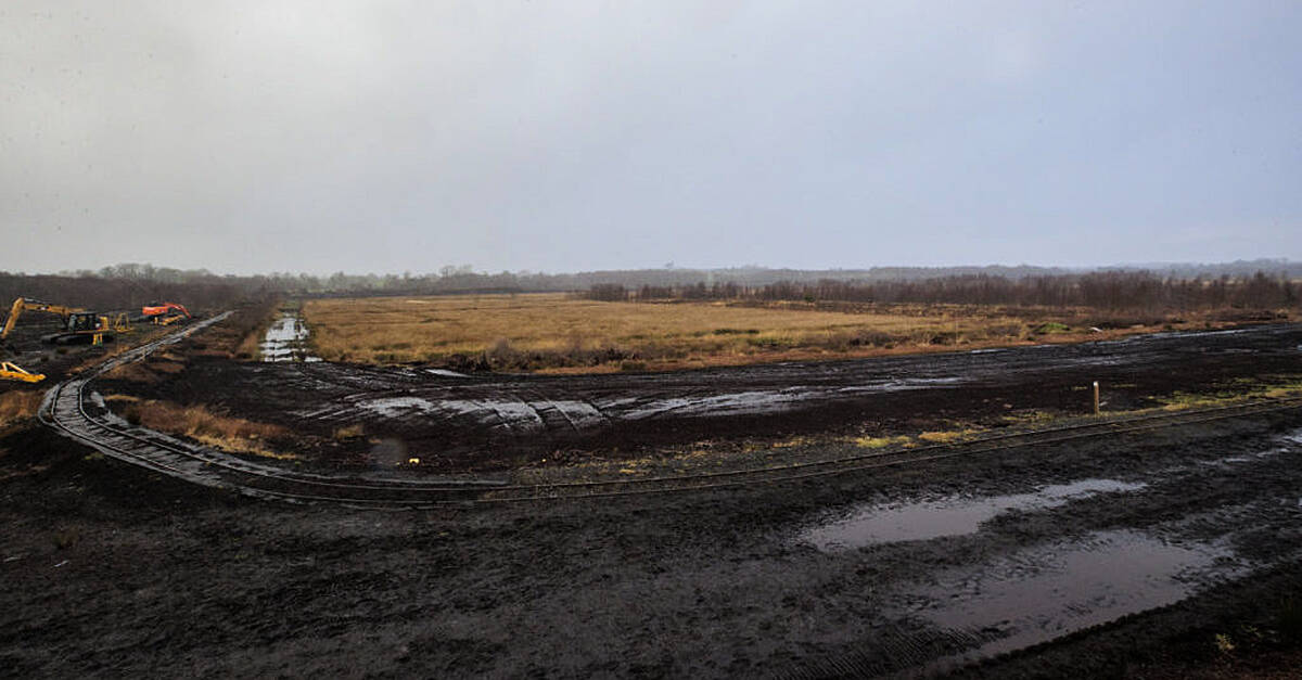 Ancient remains discovered in Derry bog ‘likely to belong to young woman’