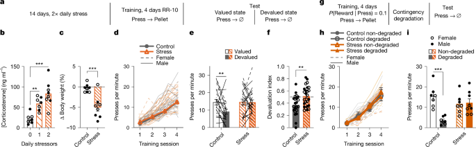 A dual-pathway architecture for stress to disrupt agency and promote habit