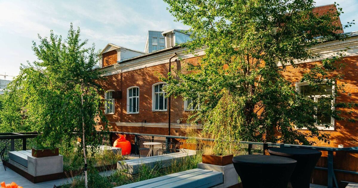 Peter Dowdall: Green roofs can boost biodiversity and help flood alleviation