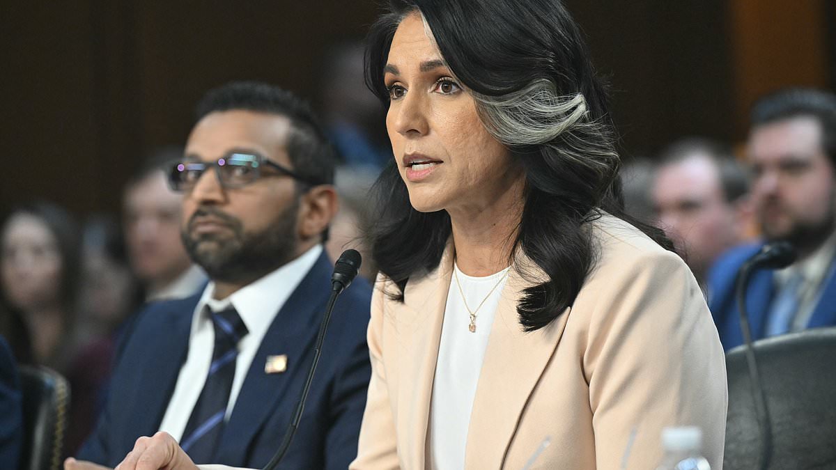 Democrat spectacularly tears into Tulsi Gabbard for war plans text leak: Live updates