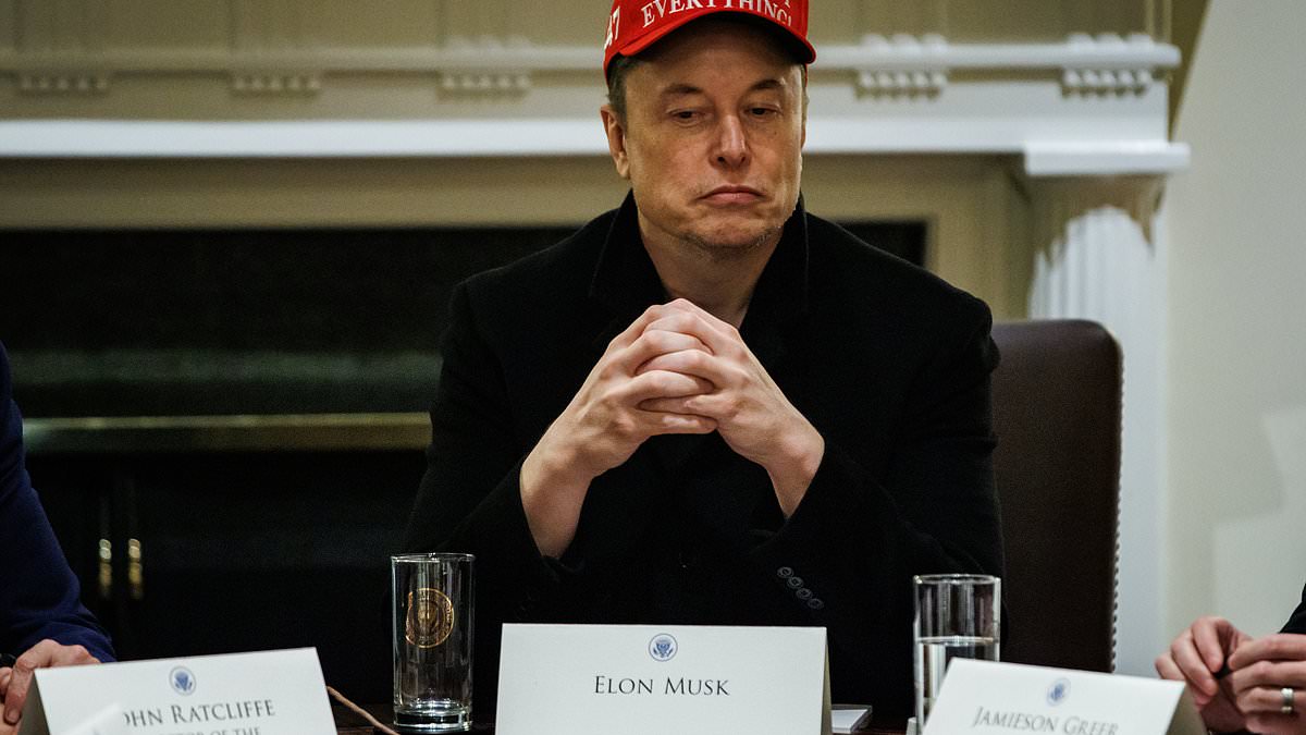 Elon Musk's 'special status' revealed in fascinating detail from Cabinet meeting