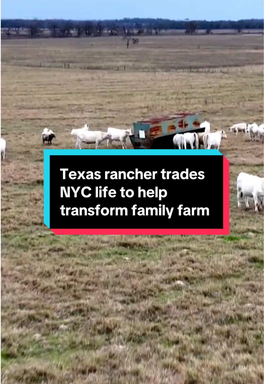 When Kimberly Ratcliff moved to New York City, she never thought she'd trade in the big city for Texas ranch life. Now, she's using her corporate marketing experience to expand her family's business and bring generational change on the range. #ranchlife #texas #farm #farmlife #farmer #family #blackownedbusiness #marketing #news