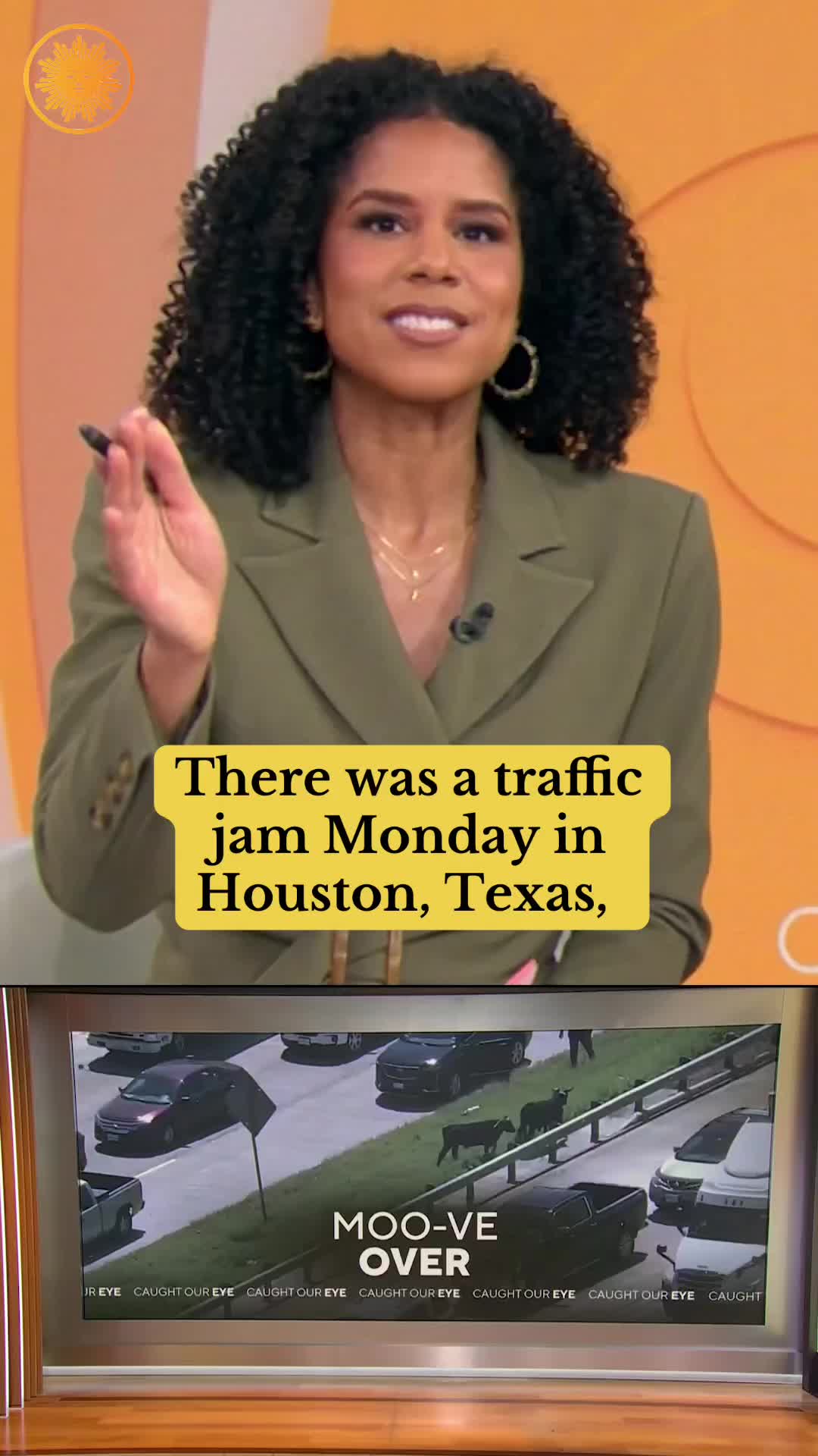 A loose herd of cattle caused a traffic jam in Houston, Texas on Monday after their trailer broke down, leading to their escape. #houston #texas #rodeo