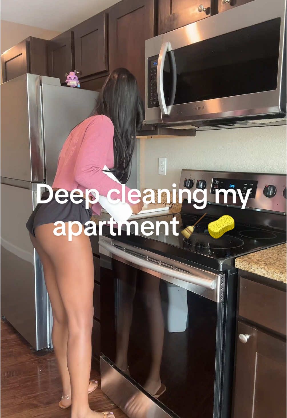 Deep cleaning my apartment ?