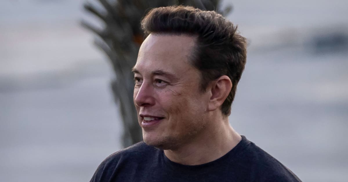 Economist schools Elon Musk on Medicare, Social Security, immigrants