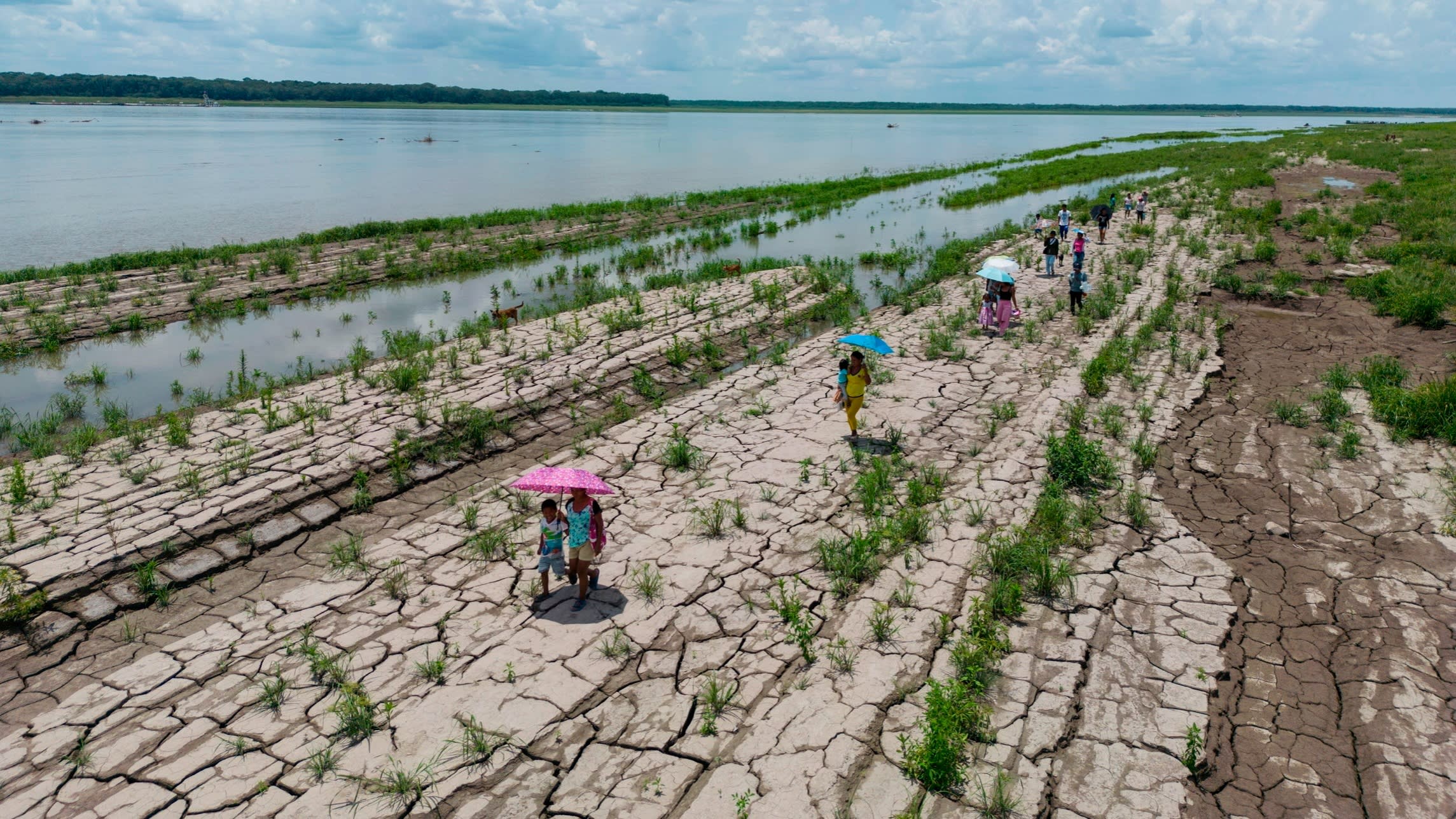 US climate philanthropies fear  Trump blow from loss of tax-free status