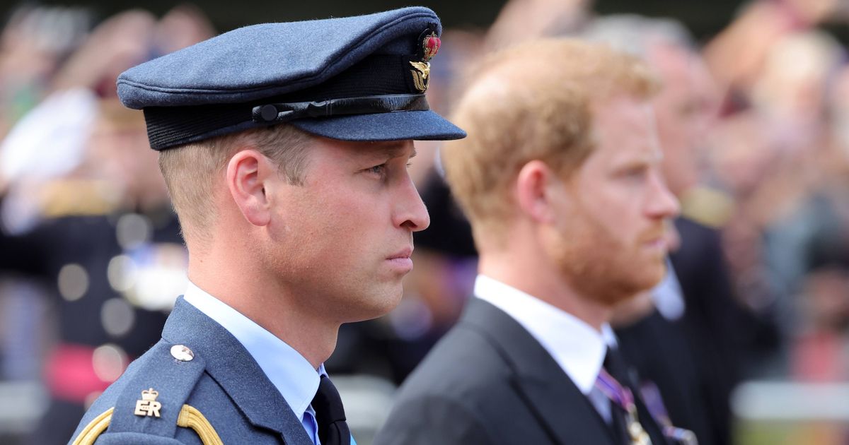 Prince William's friend gives brutal verdict on Prince Harry after BBC interview