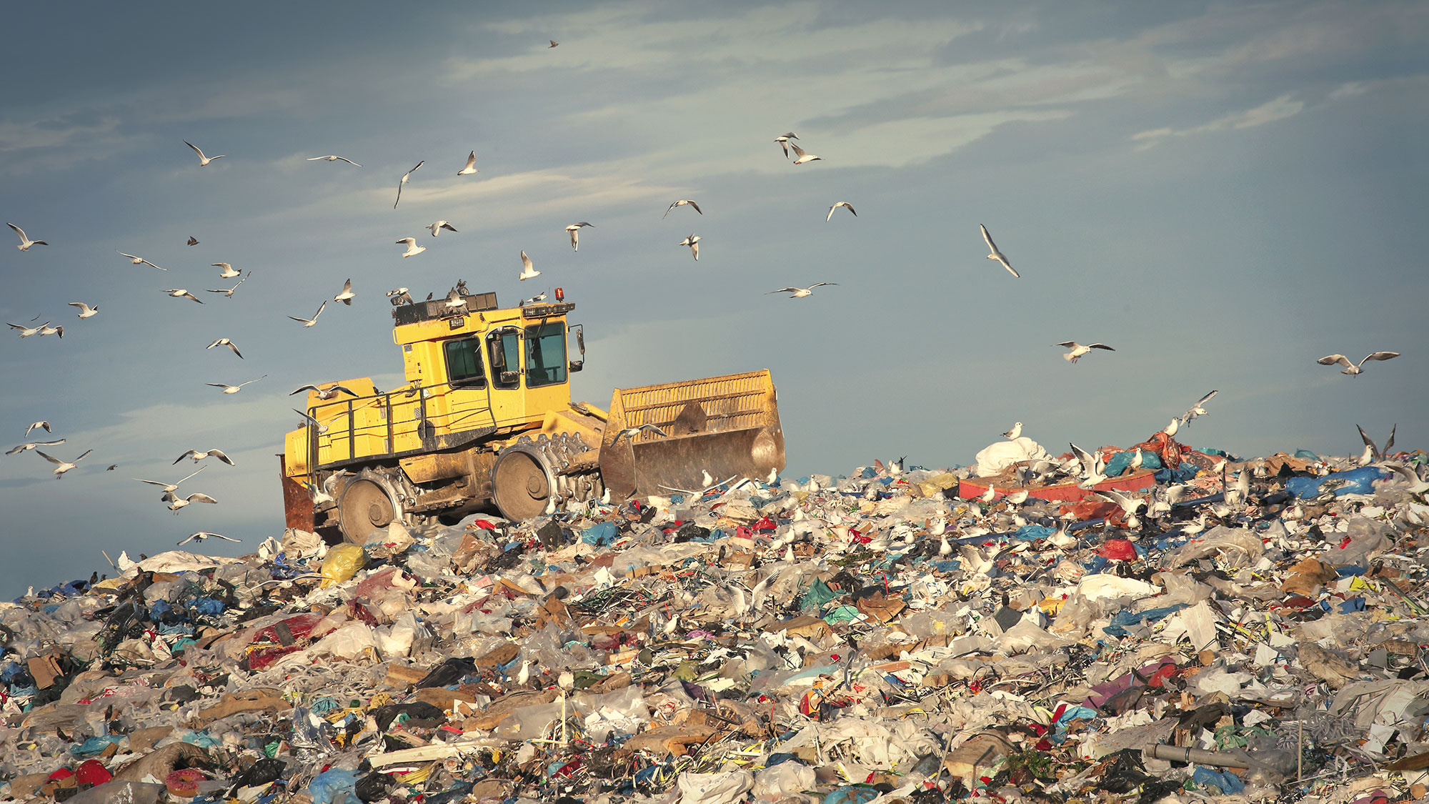 An $18M grant would have drastically reduced food waste. Then the EPA cut it.