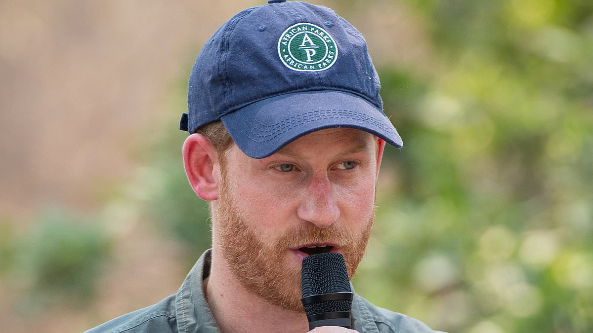 Prince Harry's African charity admits human rights abuses after rainforest families said their rangers raped and beat tribespeople