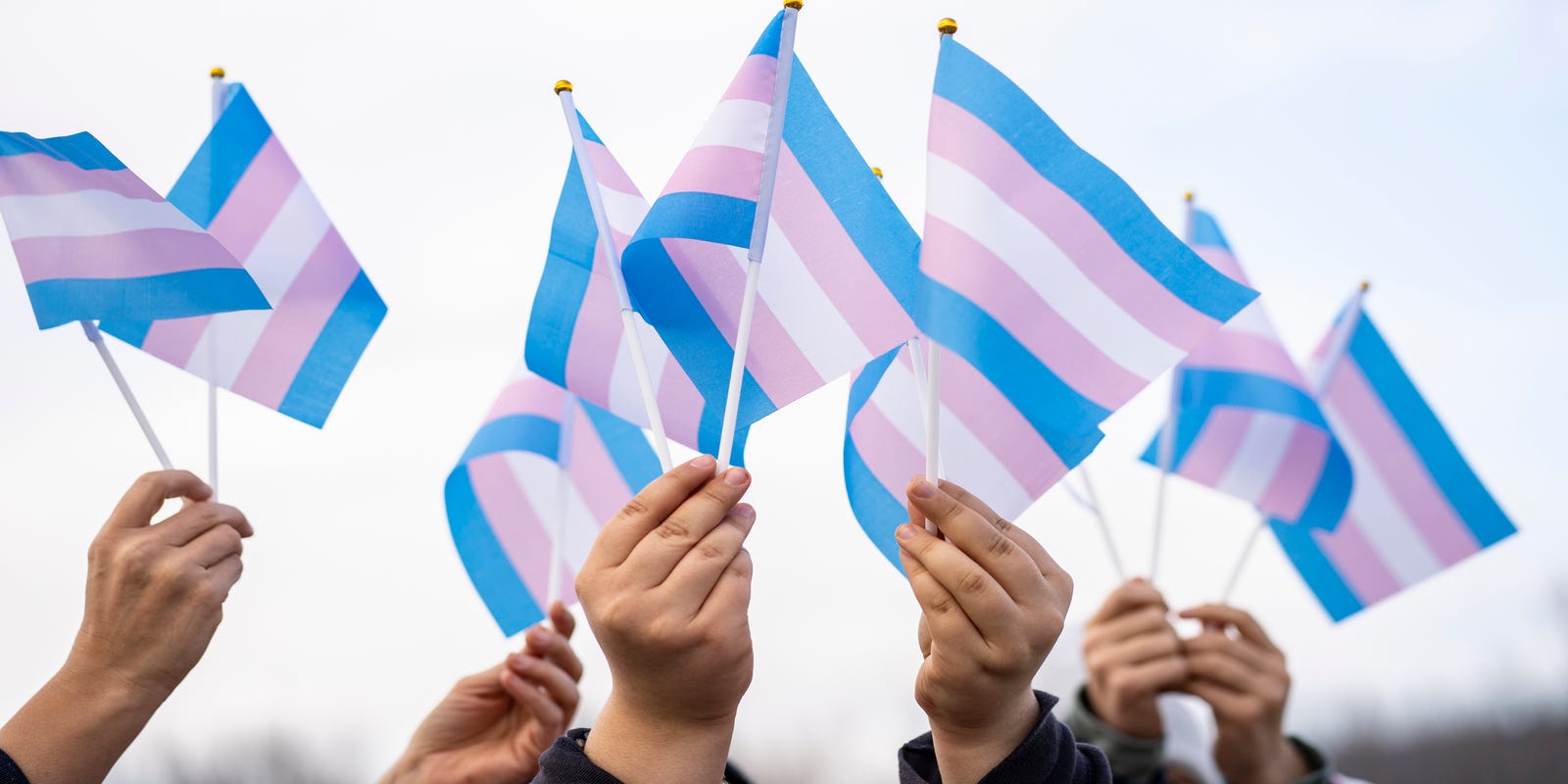 What does the 'T' in LGBTQ+ mean? Transgender, nonbinary communities explained.