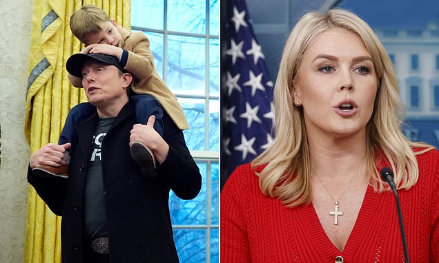 Elon Musk gets very underwhelming White House goodbye