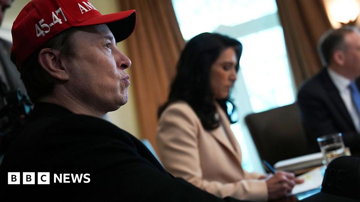 Elon Musk: Five ways world's richest man changed the White House