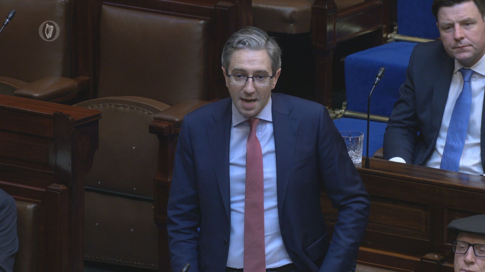 Harris accuses Israel of genocide in Dáil clash over Gaza