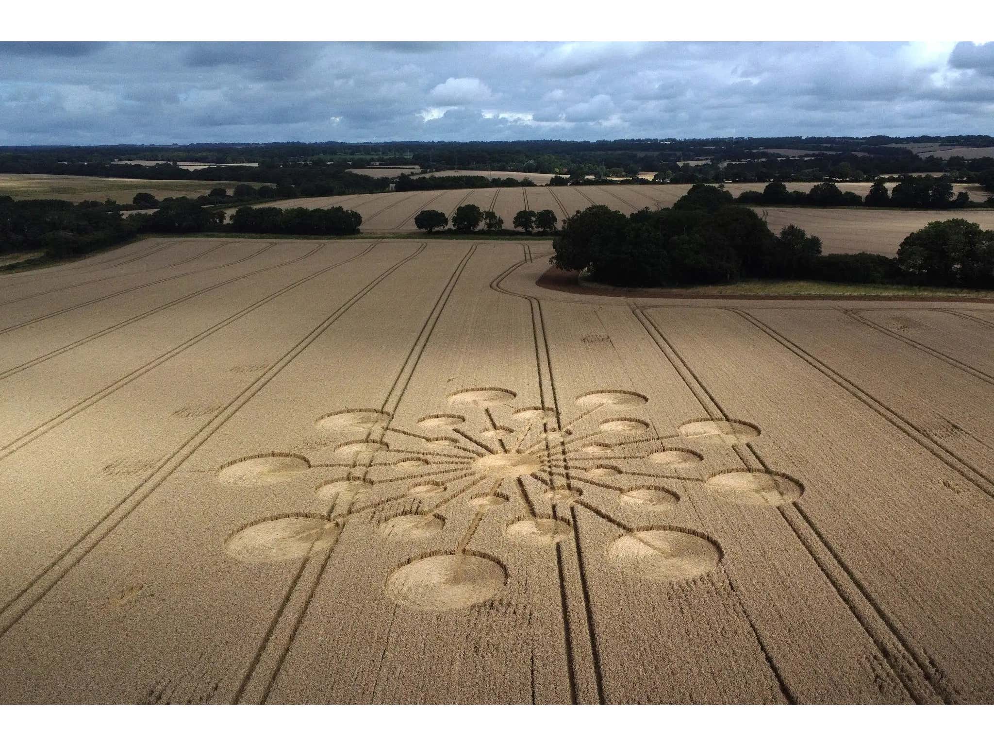 Joe Rogan Taking a Deep Dive Into Crop Circles is the Conspiracy Theory We Can All Get Behind
