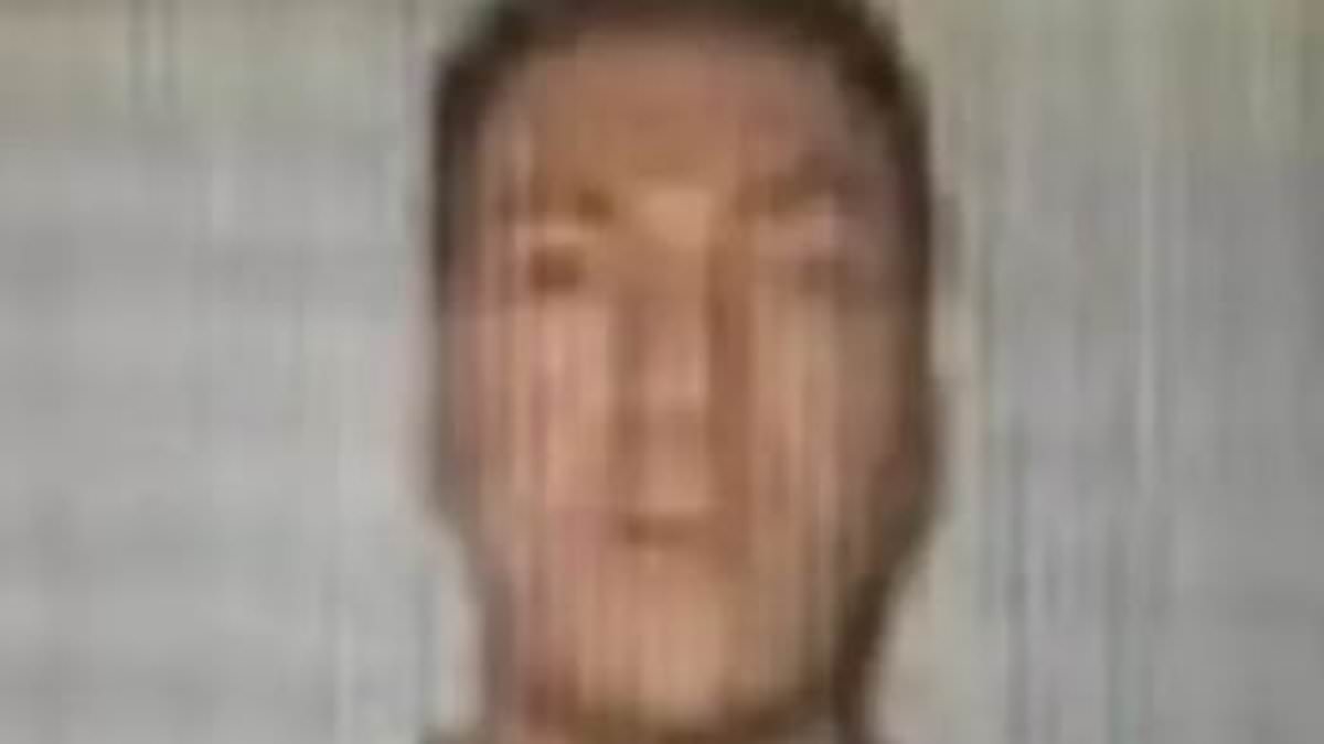 British banking exec who 'stabbed teen to death with a broken bottle' in Portugal after he was targeted by thieves faces trial after two-year manhunt
