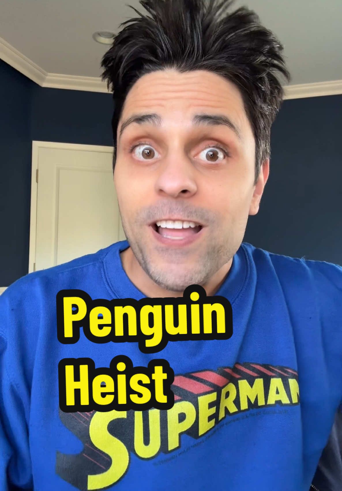 Most adorable heist ever 💀 #truecrime #truestory #australia  A penguin heist in Gold Coast Australia 🐧