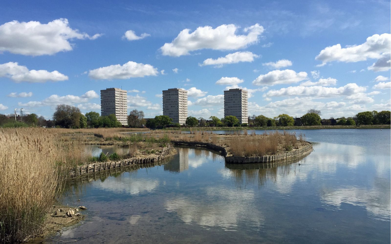 Spend Your Summer Nights at Woodberry Wetlands