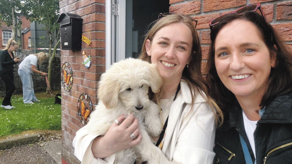 ‘Jump for a Dog’ event in Croke Park will see participants abseil from 150 ft for My Canine Companion charity
