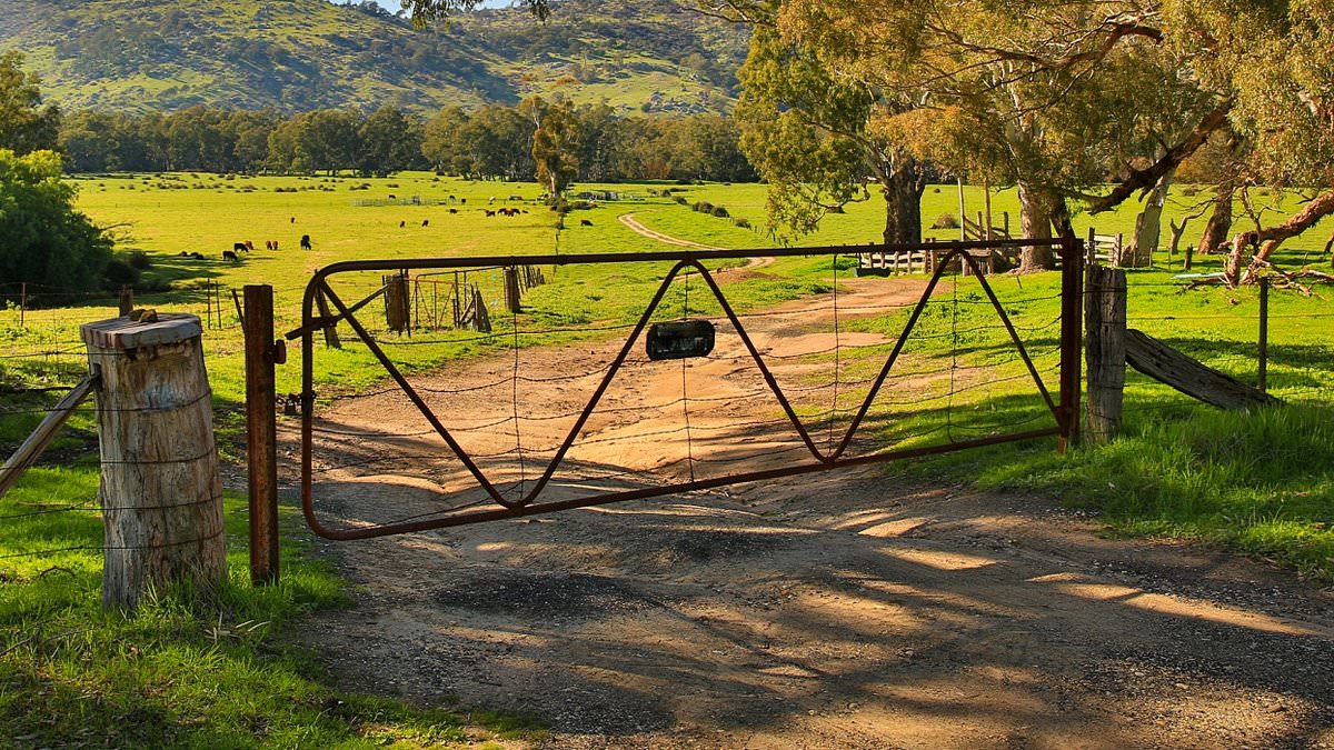 Rural Aussies slam city folks' stupid act that many of us are guilty of: 'Happens all the time'