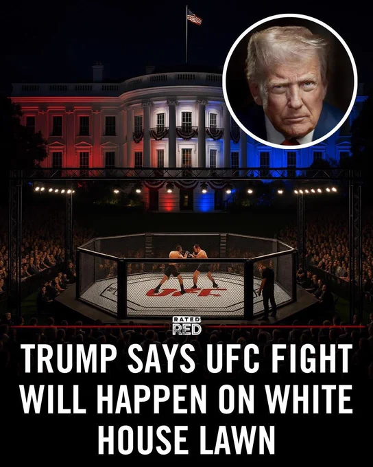 I’ll fight. Call me @danawhite 🫡🫡 pic.twitter.com/FpKZbE8C9d