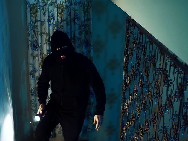 Burglars flee property after one ‘struck over head with iron’ by occupant