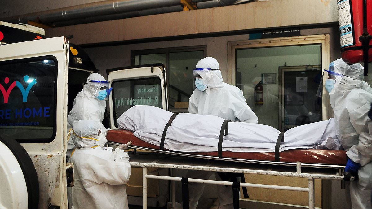 Teenager dies from 'brain-swelling' bat virus in India as officials confirm second case - fuelling fears of 'next pandemic'