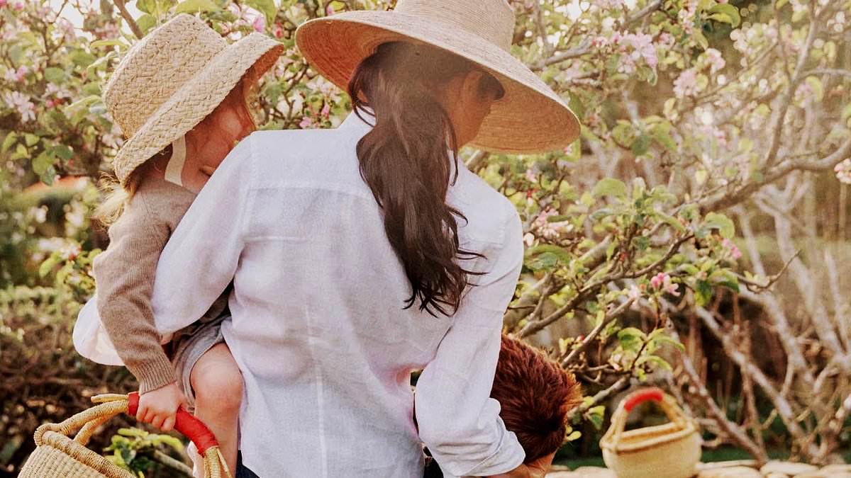 The glaring reason why those in royal circles are so 'bemused' Harry and Meghan are desperate to keep their children's official titles