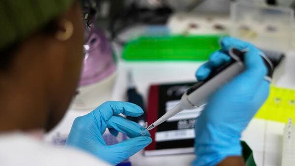 Us aid cuts halt hiv vaccine research in south africa, with global impact