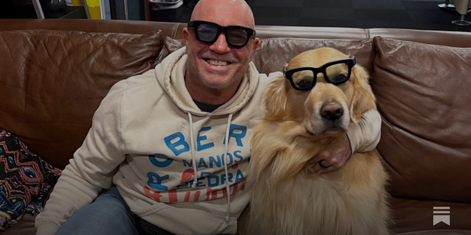 CBC report claims watching Joe Rogan is causing couples to divorce