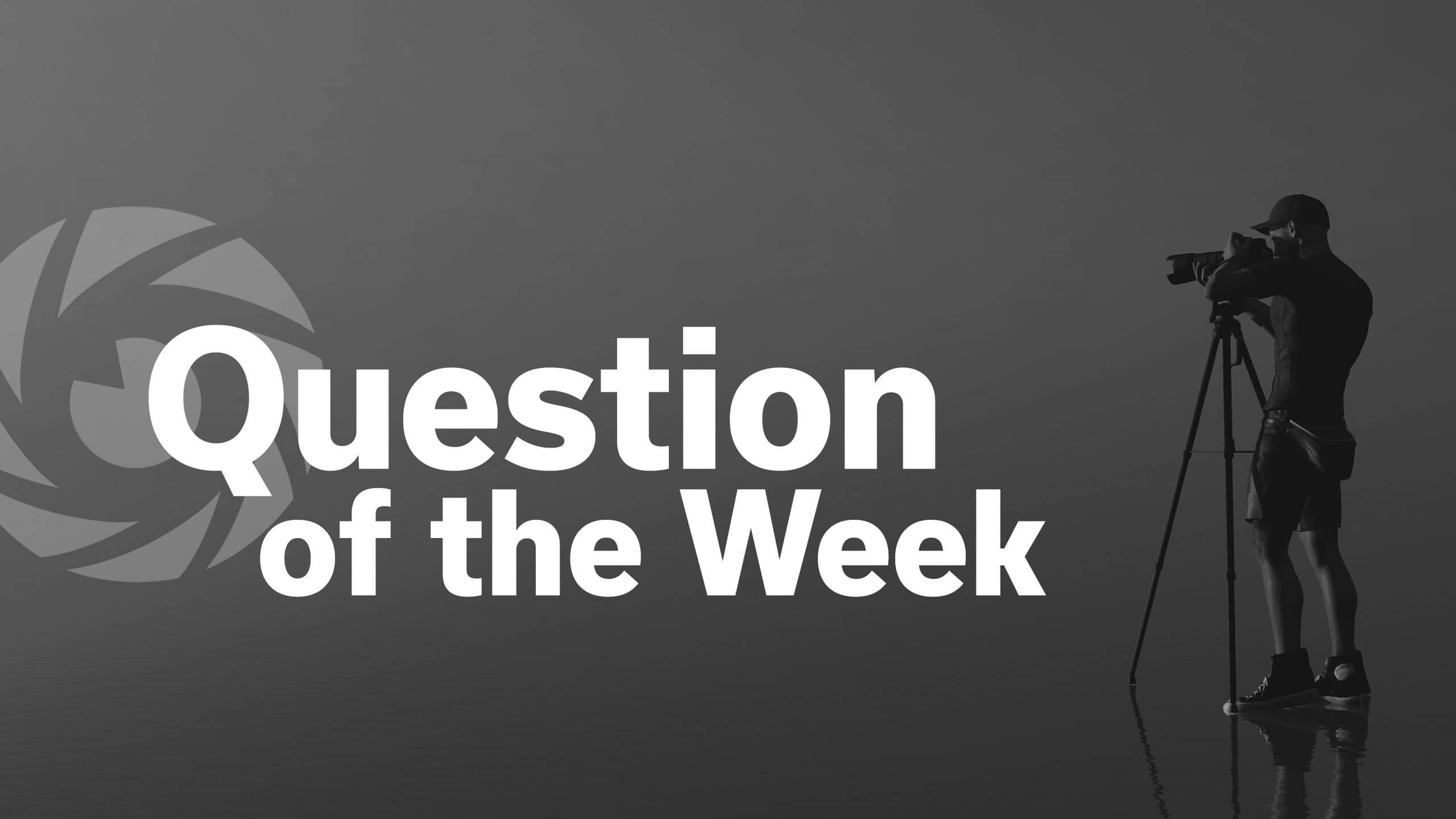Question of the Week: What photography genre do you like the least?
