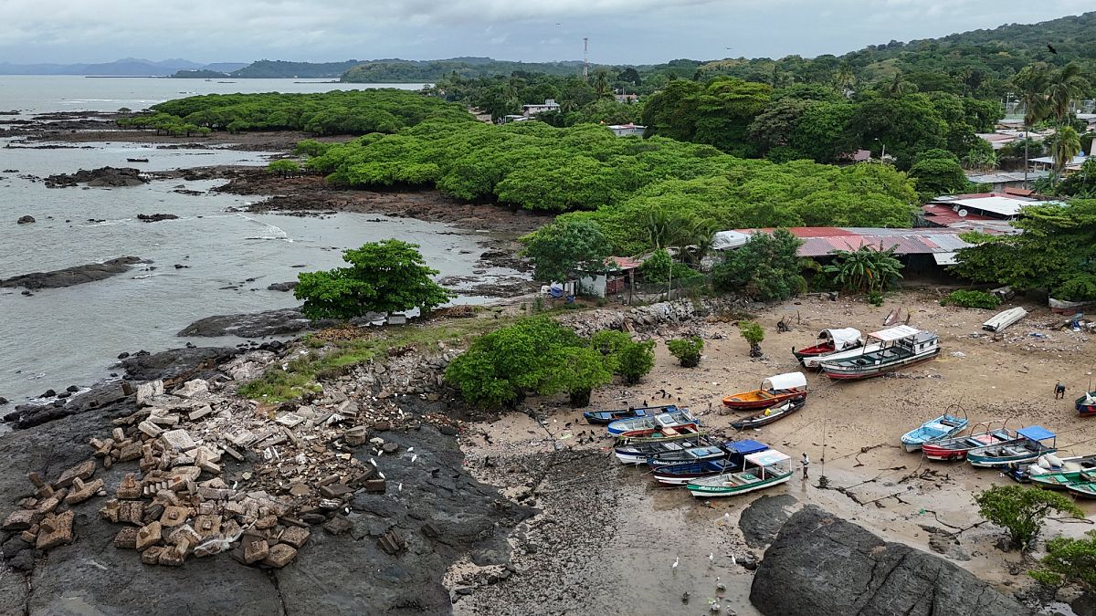 Video. Tsunami warnings lifted in Japan and US but Chile remains on alert