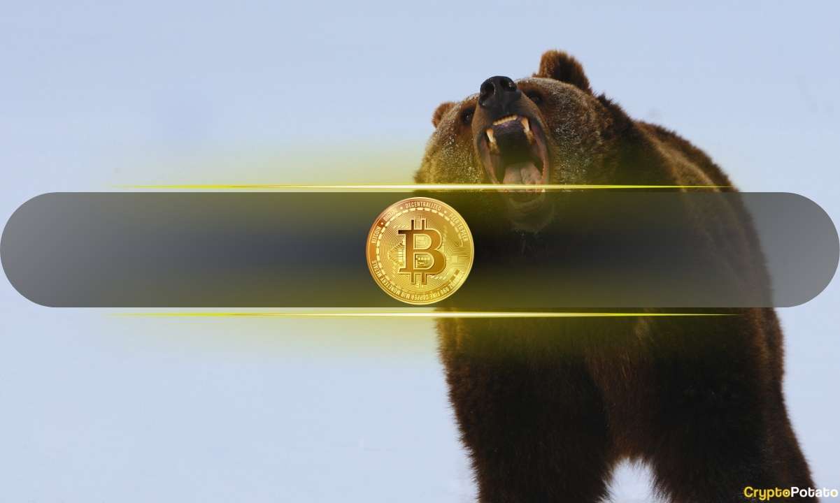 Bitcoin Price Plummets Toward $113K as Total Liquidations Approach $1 Billion