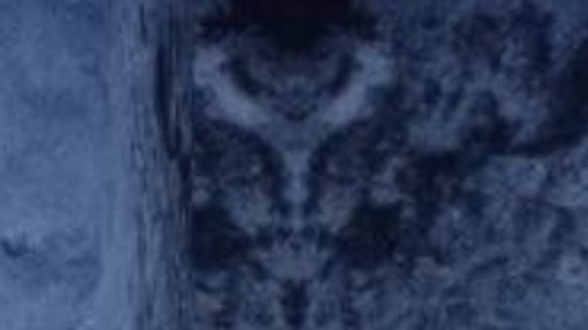 Google Maps users are baffled after spotting a mysterious FACE on a mountain top in Chile - as one claims it could be an 'alien base'