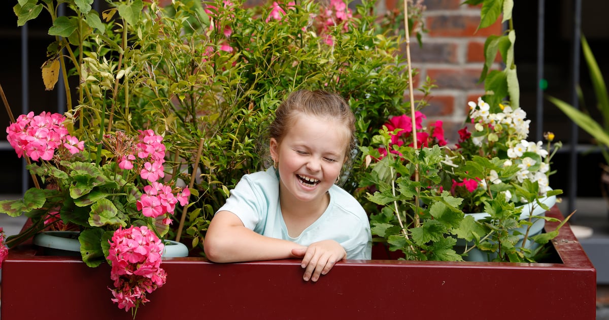Ireland’s Greenest Places 2025 long list