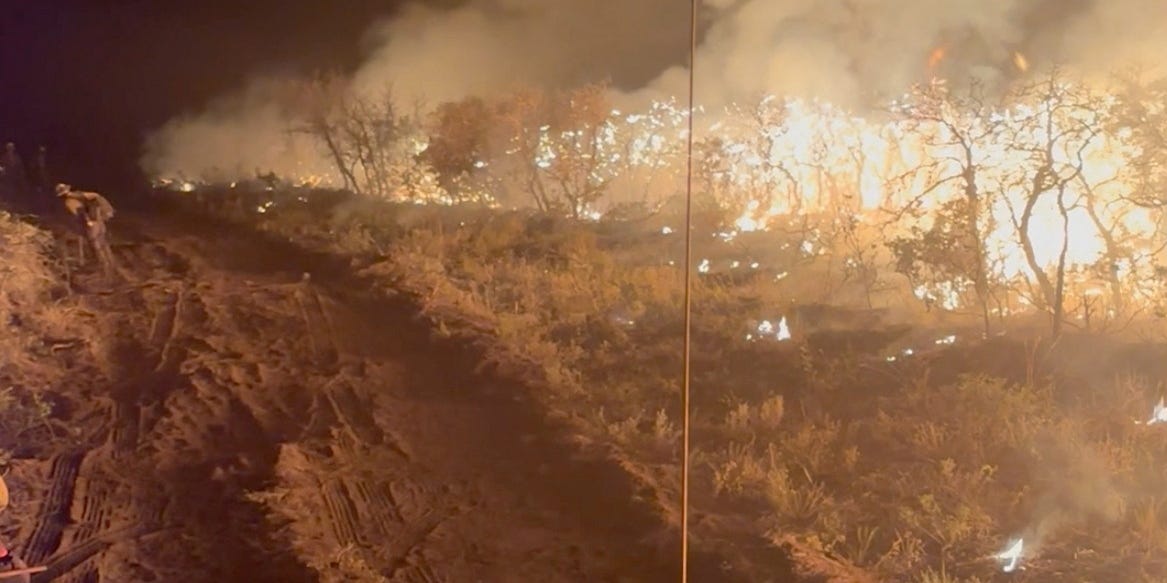 Colorado declares statewide disaster emergency, as dozens of wildfires blaze