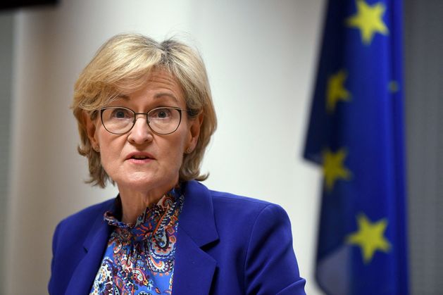 John Downing: Mairead McGuinness fought and won many a hard battle – alas, Áras race was one challenge too far