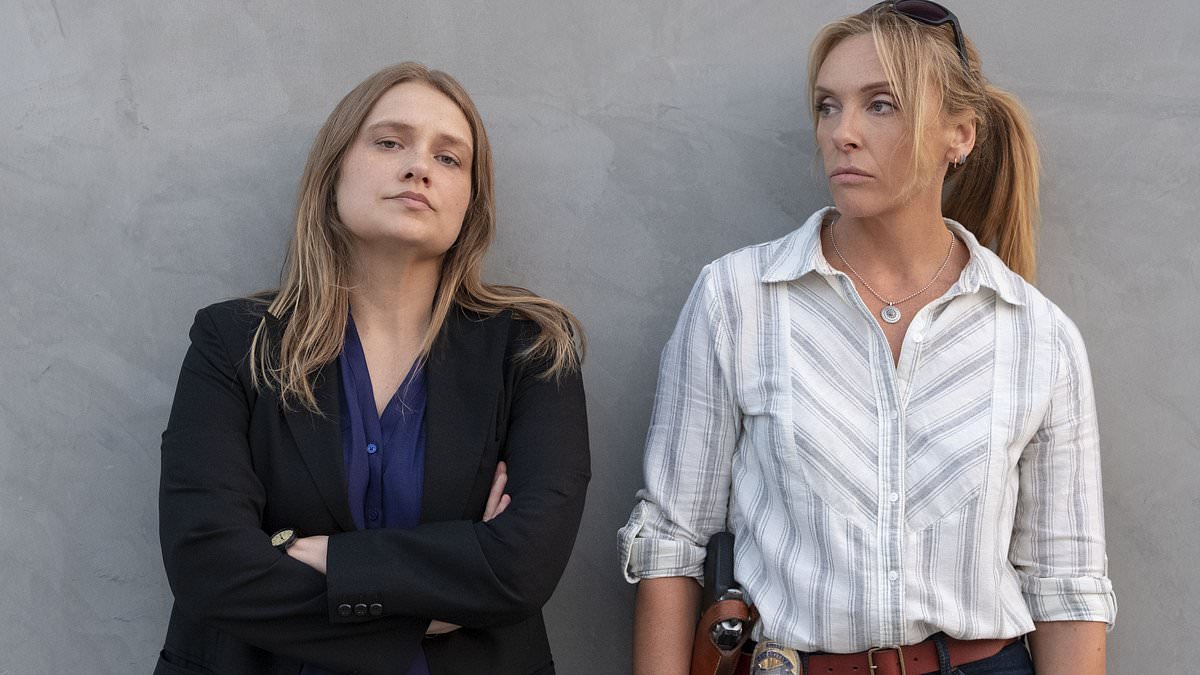 Netflix fans vote on 'most underrated series ever' - with their top pick hailed as 'depressing and amazing at the same time' with a whopping 98% Rotten Tomatoes score
